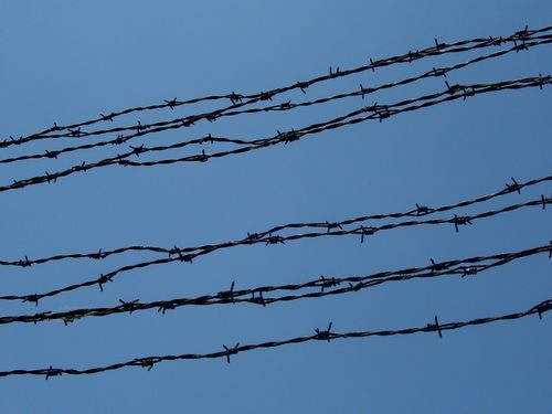 barbed-wire-1141271_1920
