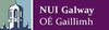 NUIG Logo